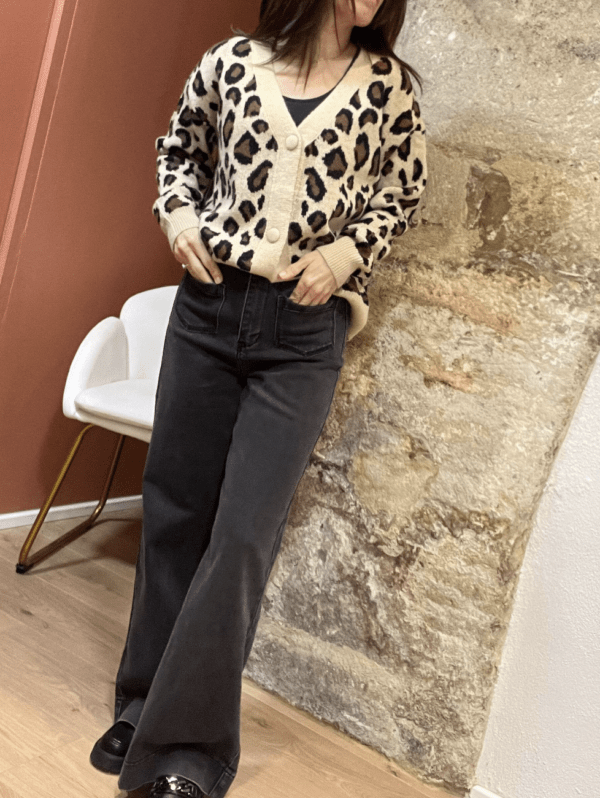 Jean GASPARETTE gris moyen – Image 6