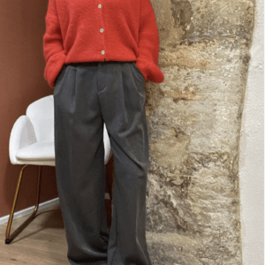 Pantalon à pinces MARCEAU gris