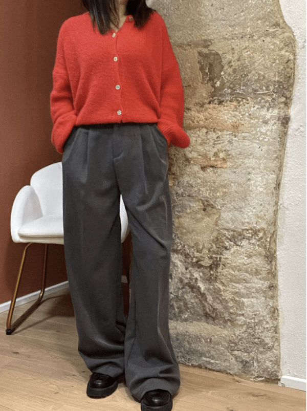 Pantalon à pinces MARCEAU gris