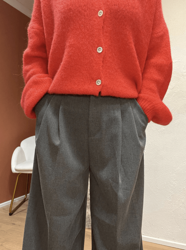 Pantalon à pinces MARCEAU gris – Image 2