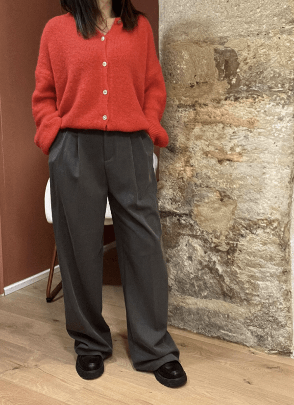 Pantalon à pinces MARCEAU gris – Image 3